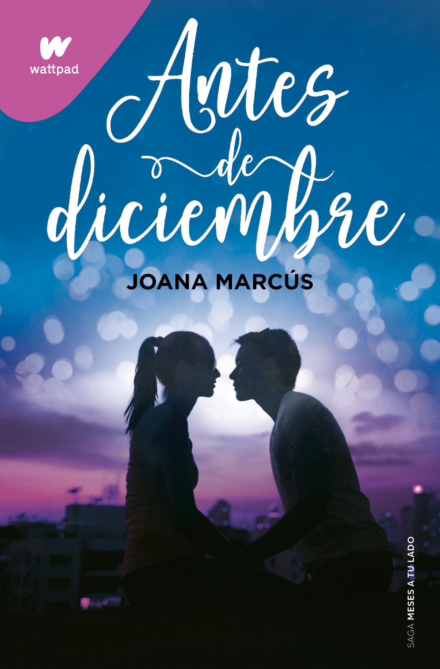 Antes de diciembre- Joana marcus